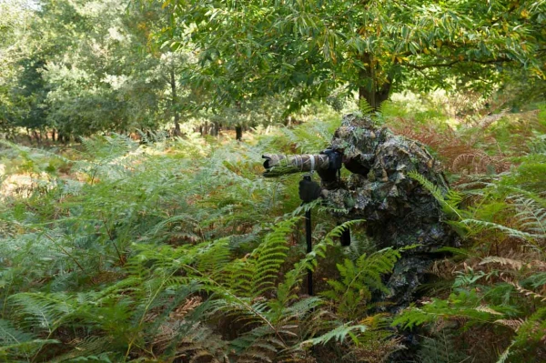 Ambiance pendant les stages photo animalière avec Amar Guillen, Ambiance pendant les stages photo animalière avec Amar Guillen,