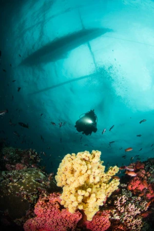 Photos des stagiaires pendant des stages de photo sous-marine av Photos des stagiaires pendant des stages de photo sous-marine av