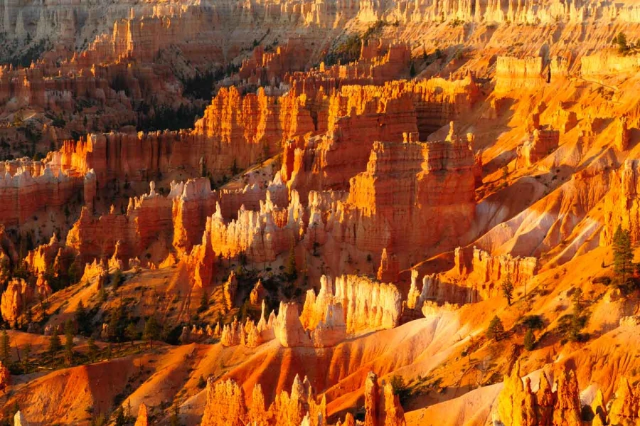 Photograph of a landscape in Color by Amar Guillen, photographer Photograph of a landscape in Color by Amar Guillen, photographer