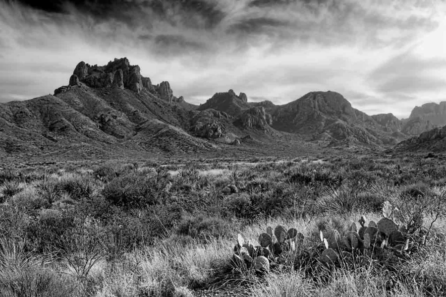 Landscape in black and white of Texas by Amar Guillen, photograp Landscape in black and white of Texas by Amar Guillen, photograp