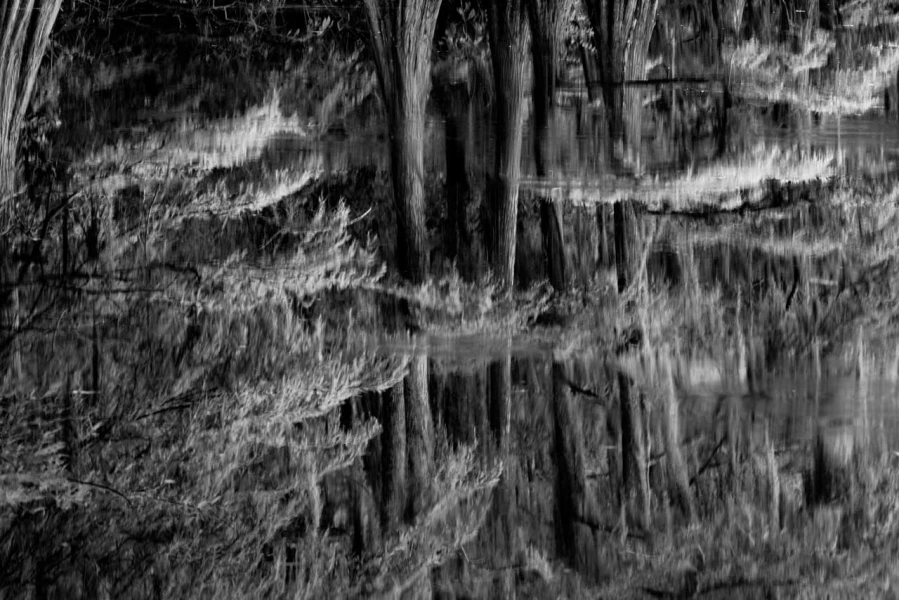 Landscape in black and white of Texas by Amar Guillen, photograp Landscape in black and white of Texas by Amar Guillen, photograp
