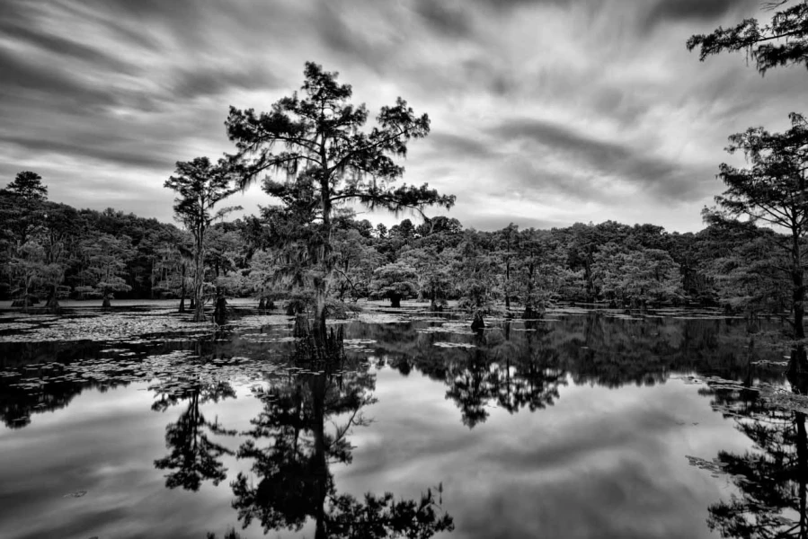 Landscape in black and white of Texas by Amar Guillen, photograp Landscape in black and white of Texas by Amar Guillen, photograp