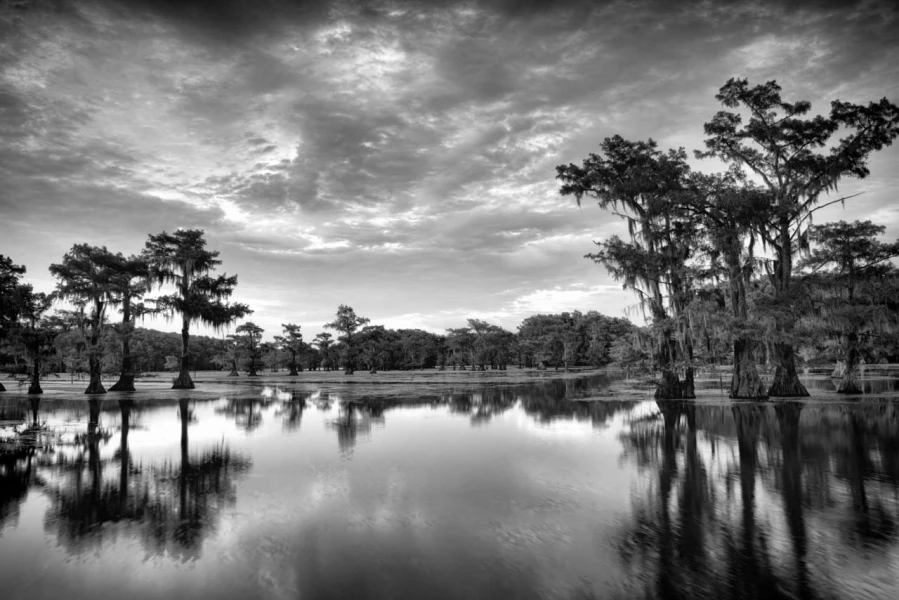 Landscape in black and white of Texas by Amar Guillen, photograp Landscape in black and white of Texas by Amar Guillen, photograp
