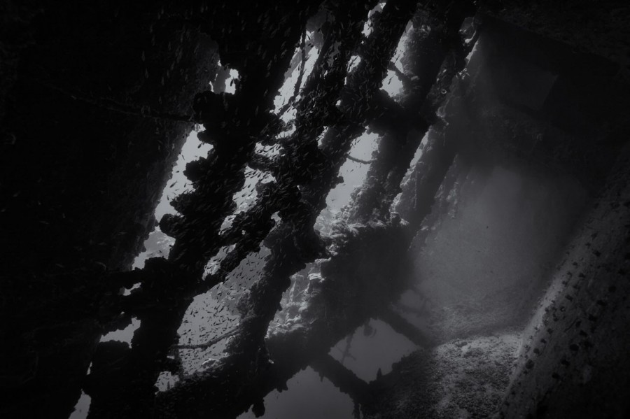 Amar Guillen underwater professional photographer Amar Guillen underwater professional photographer