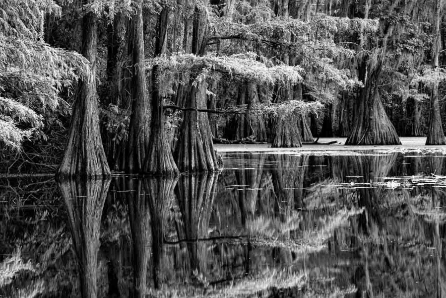 Landscape photograph in black and white. Amar Guillen, Photograp Landscape photograph in black and white. Amar Guillen, Photograp