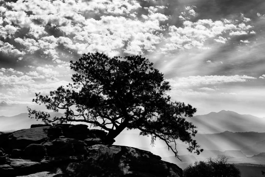 Landscape photograph in black and white. Amar Guillen, Photograp Landscape photograph in black and white. Amar Guillen, Photograp