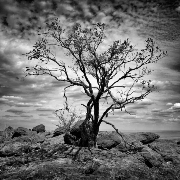 Landscape photograph in black and white. Amar Guillen, Photograp Landscape photograph in black and white. Amar Guillen, Photograp