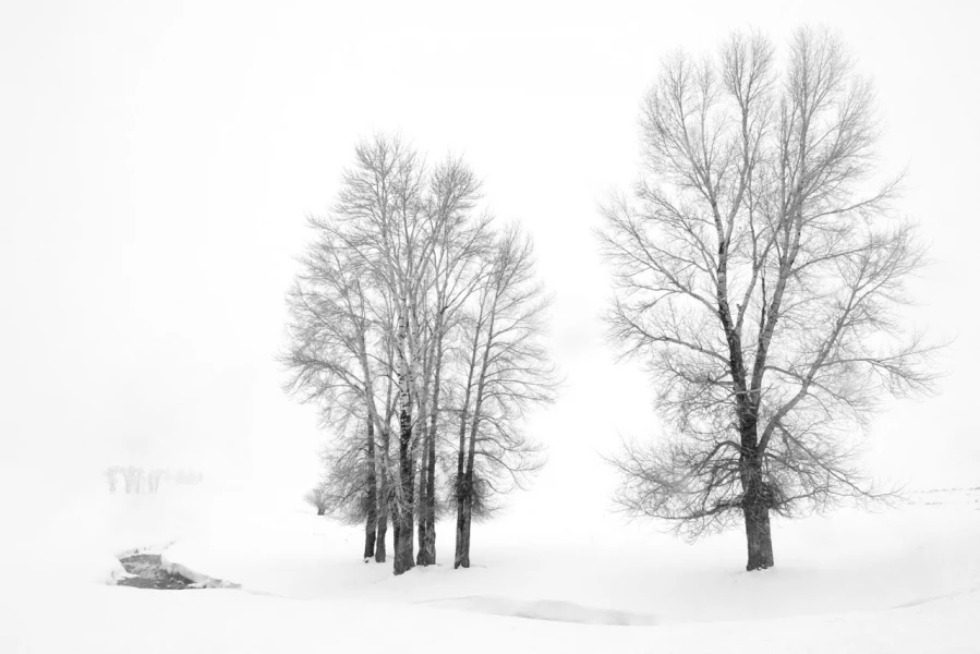 Landscape photograph in black and white. Amar Guillen, Photograp Landscape photograph in black and white. Amar Guillen, Photograp