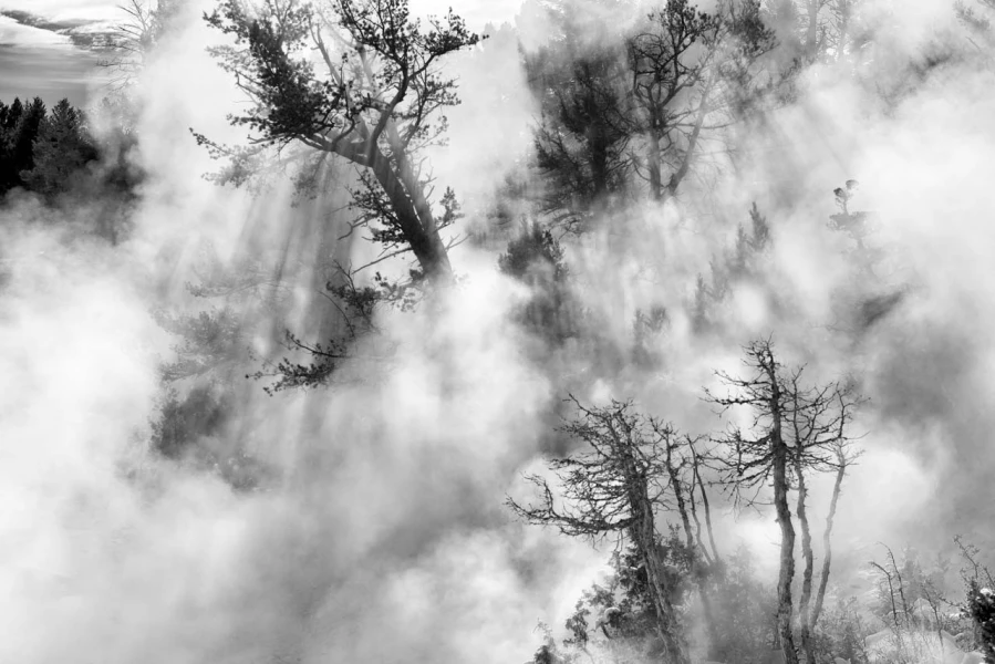Landscape photograph in black and white. Amar Guillen, Photograp Landscape photograph in black and white. Amar Guillen, Photograp