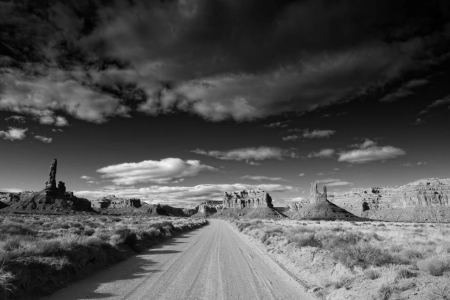 Landscape of Valley of the Gods in Utah in black and white. Landscape of Valley of the Gods in Utah in black and white.