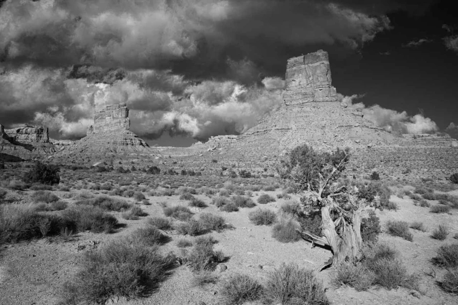 Landscape of Valley of the Gods in Utah in black and white. Landscape of Valley of the Gods in Utah in black and white.
