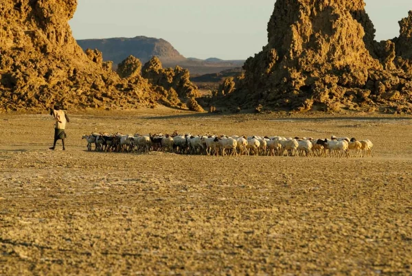 Paysage de Lac Abbé à Djibouti. Paysage de Lac Abbé à Djibouti.