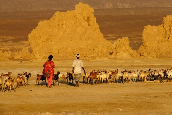 Paysage de Lac Abbé à Djibouti. Paysage de Lac Abbé à Djibouti.