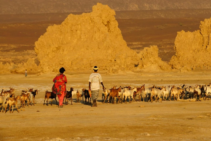 Paysage de Lac Abbé à Djibouti. Paysage de Lac Abbé à Djibouti.