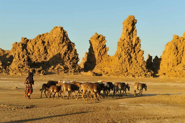 Paysage de Lac Abbé à Djibouti. Paysage de Lac Abbé à Djibouti.