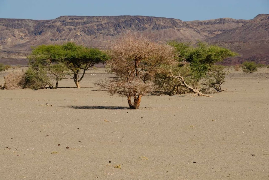 Paysage de Lac Abbé à Djibouti. Paysage de Lac Abbé à Djibouti.