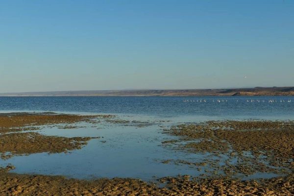 Paysage de Lac Abbé à Djibouti. Paysage de Lac Abbé à Djibouti.