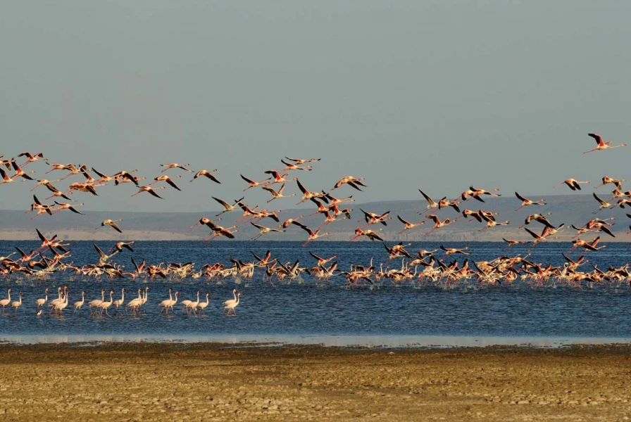Paysage de Lac Abbé à Djibouti. Paysage de Lac Abbé à Djibouti.