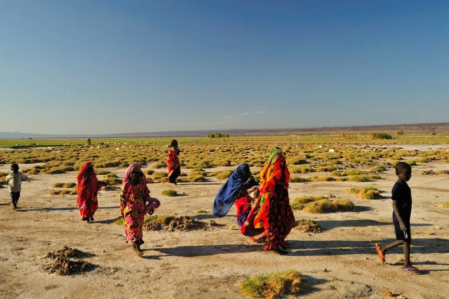 Paysage de Lac Abbé à Djibouti. Paysage de Lac Abbé à Djibouti.