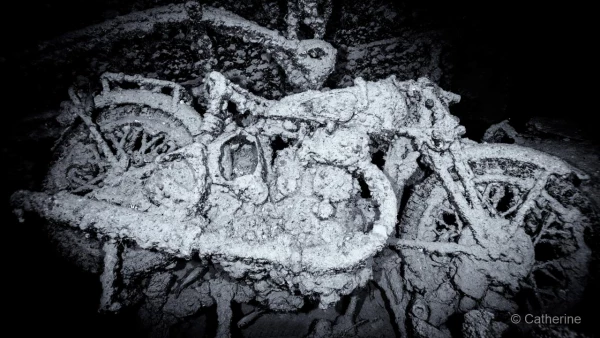 001 catherine stage lattitude27 octobre 2018 001 catherine stage lattitude27 octobre 2018