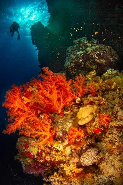 003 eric g stage reserves australes octobre 2019 003 eric g stage reserves australes octobre 2019