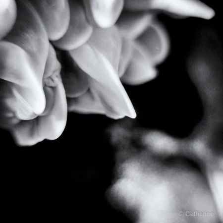 004 catherine stage lattitude27 octobre 2018 004 catherine stage lattitude27 octobre 2018