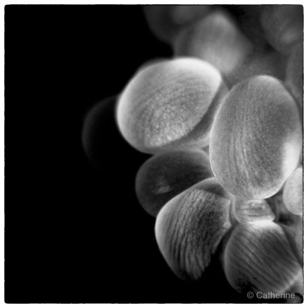 007 catherine stage lattitude27 octobre 2018 007 catherine stage lattitude27 octobre 2018