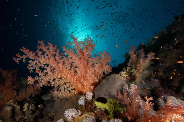 008 daniel stage lattitude27 octobre 2018 008 daniel stage lattitude27 octobre 2018