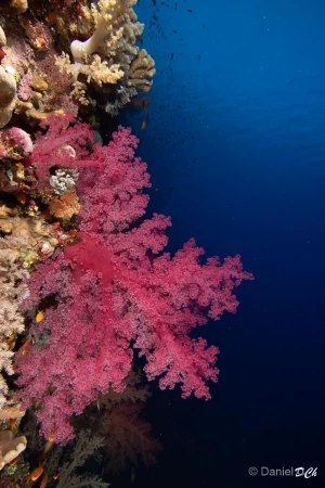 009 daniel stage lattitude27 octobre 2018 009 daniel stage lattitude27 octobre 2018