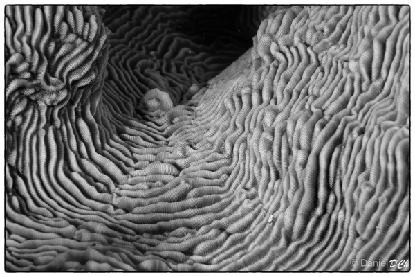 015 daniel stage lattitude27 octobre 2018 015 daniel stage lattitude27 octobre 2018