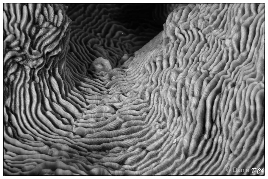 015 daniel stage lattitude27 octobre 2018 015 daniel stage lattitude27 octobre 2018