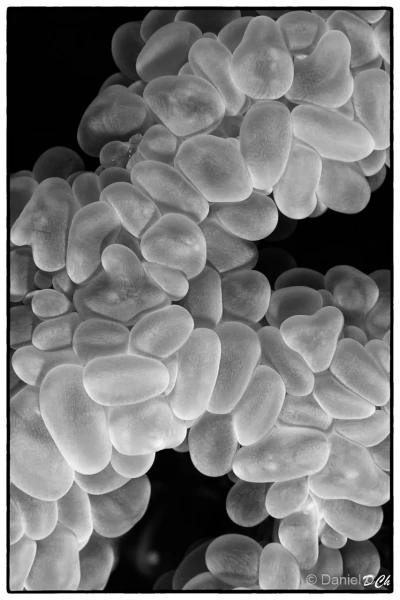 016 daniel stage lattitude27 octobre 2018 016 daniel stage lattitude27 octobre 2018