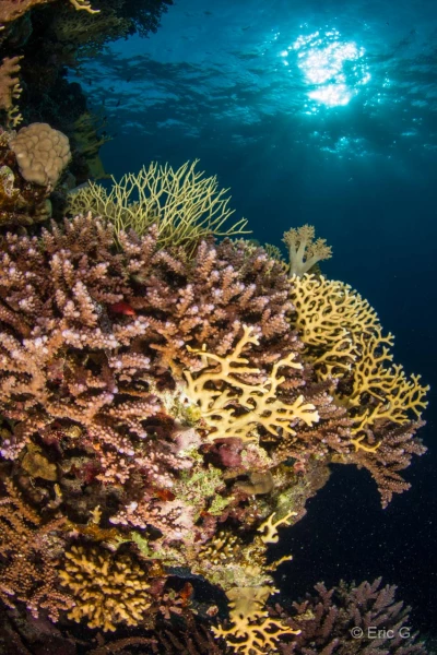 018 eric stage lattitude27 octobre 2018 018 eric stage lattitude27 octobre 2018