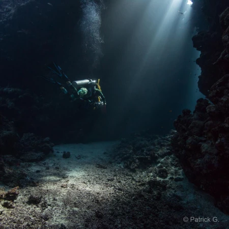 019 patrick stage reserves australes octobre 2019 019 patrick stage reserves australes octobre 2019