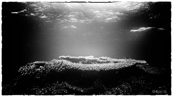 020 eric stage lattitude27 octobre 2018 020 eric stage lattitude27 octobre 2018