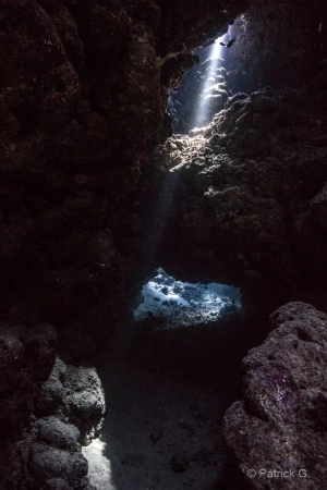 021 patrick stage reserves australes octobre 2019 021 patrick stage reserves australes octobre 2019