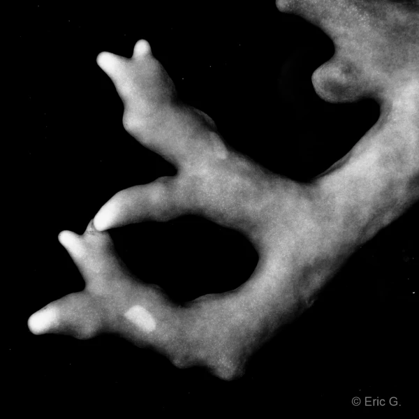 022 eric stage lattitude27 octobre 2018 022 eric stage lattitude27 octobre 2018