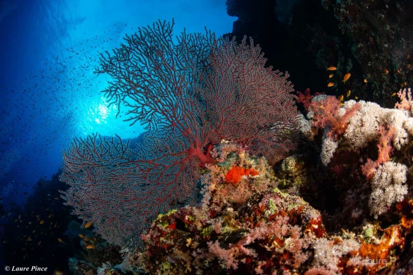 023 laure stage lattitude27 octobre 2018 023 laure stage lattitude27 octobre 2018