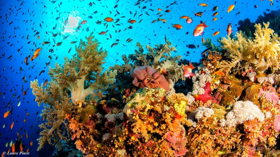 024 laure stage lattitude27 octobre 2018 024 laure stage lattitude27 octobre 2018