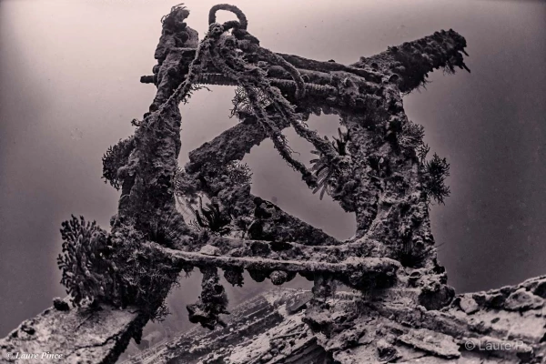 028 laure stage lattitude27 octobre 2018 028 laure stage lattitude27 octobre 2018