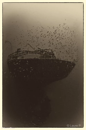 029 laure stage lattitude27 octobre 2018 029 laure stage lattitude27 octobre 2018