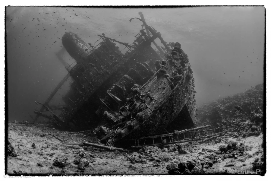 030 laure stage lattitude27 octobre 2018 030 laure stage lattitude27 octobre 2018