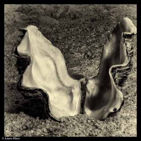 031 laure stage lattitude27 octobre 2018 031 laure stage lattitude27 octobre 2018