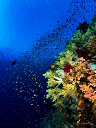 032 nicolas stage lattitude27 octobre 2018 032 nicolas stage lattitude27 octobre 2018