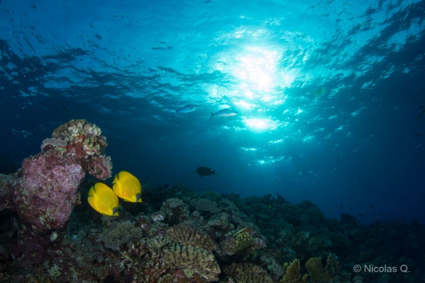 033 nicolas stage lattitude27 octobre 2018 033 nicolas stage lattitude27 octobre 2018