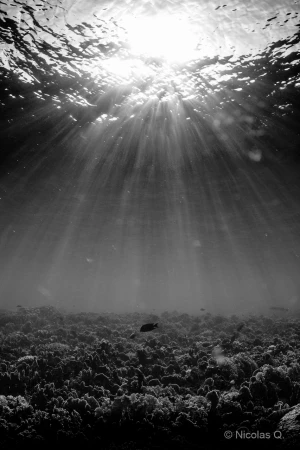 034 nicolas stage lattitude27 octobre 2018 034 nicolas stage lattitude27 octobre 2018