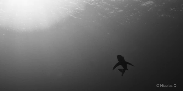 035 nicolas stage lattitude27 octobre 2018 035 nicolas stage lattitude27 octobre 2018