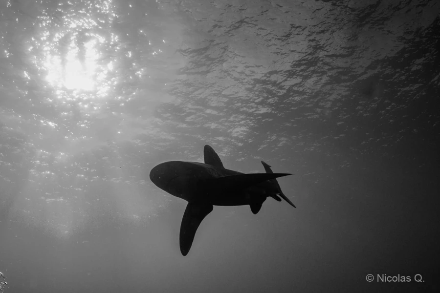 036 nicolas stage lattitude27 octobre 2018 036 nicolas stage lattitude27 octobre 2018