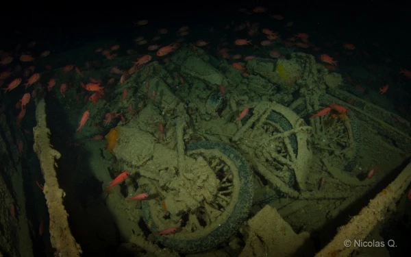 038 nicolas stage lattitude27 octobre 2018 038 nicolas stage lattitude27 octobre 2018