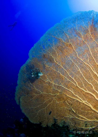 041 philippe stage lattitude27 octobre 2018 041 philippe stage lattitude27 octobre 2018